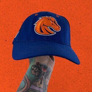 Vintage college strap back dad hat